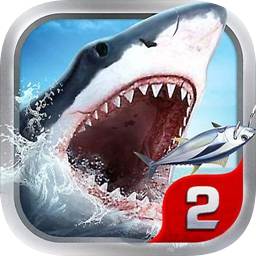 J2341:COM-WWW:J2341:COM